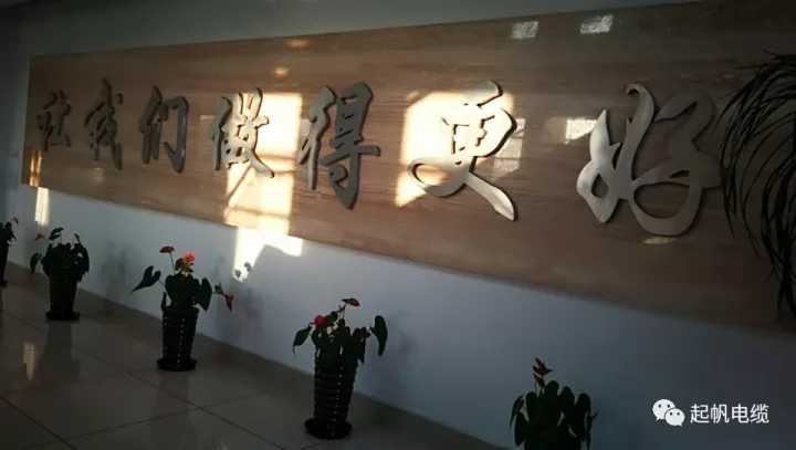 第六届金山区区长质量奖公布，起帆电缆周供华榜上有名