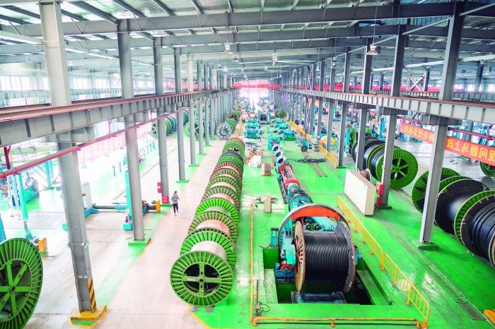 新质浙商 | 起帆电缆：向“百年起帆”进发